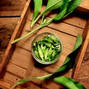 Pickle ail des ours