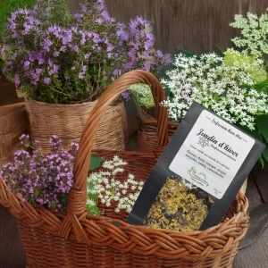 Tisane Jardin d'hiver