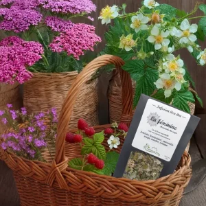Tisane La féminine